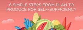 The Dreamer's Homestead Garden: 6 Simple Steps from Plan to Produce for Self-Sufficiency