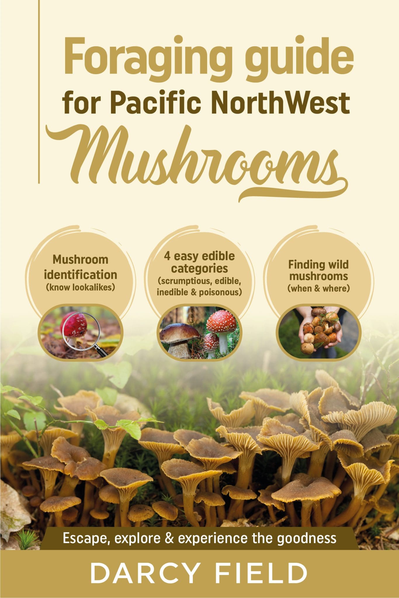 Foraging Guide for Pacific Northwest Mushrooms