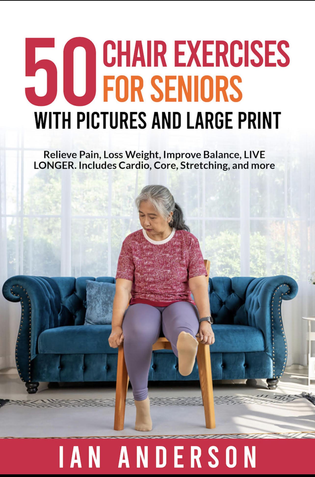 Chair Exercises for Senior with Pictures and Large Print