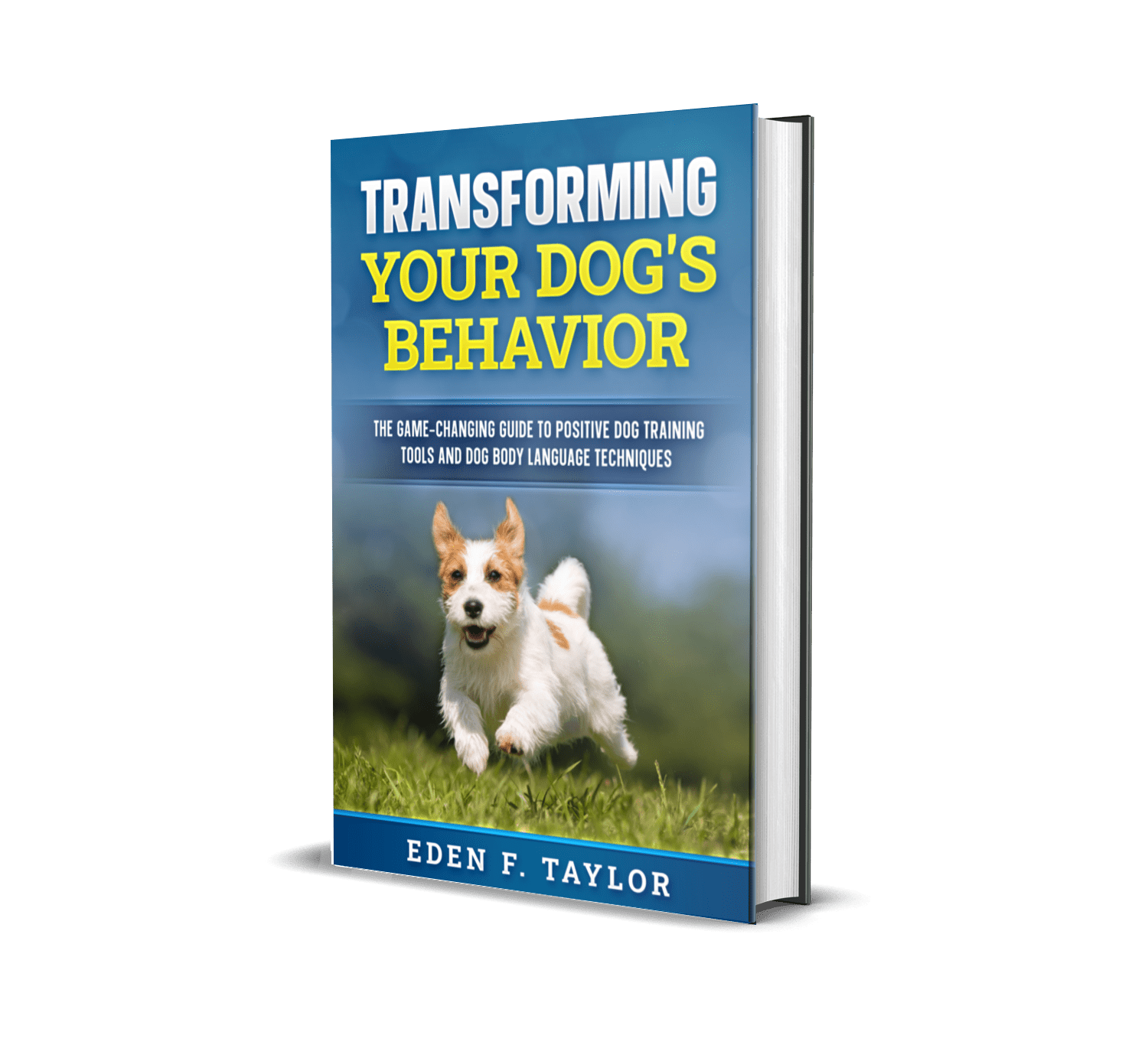 Transforming Your Dog’s Behavior The GameChanging Guide to Positive