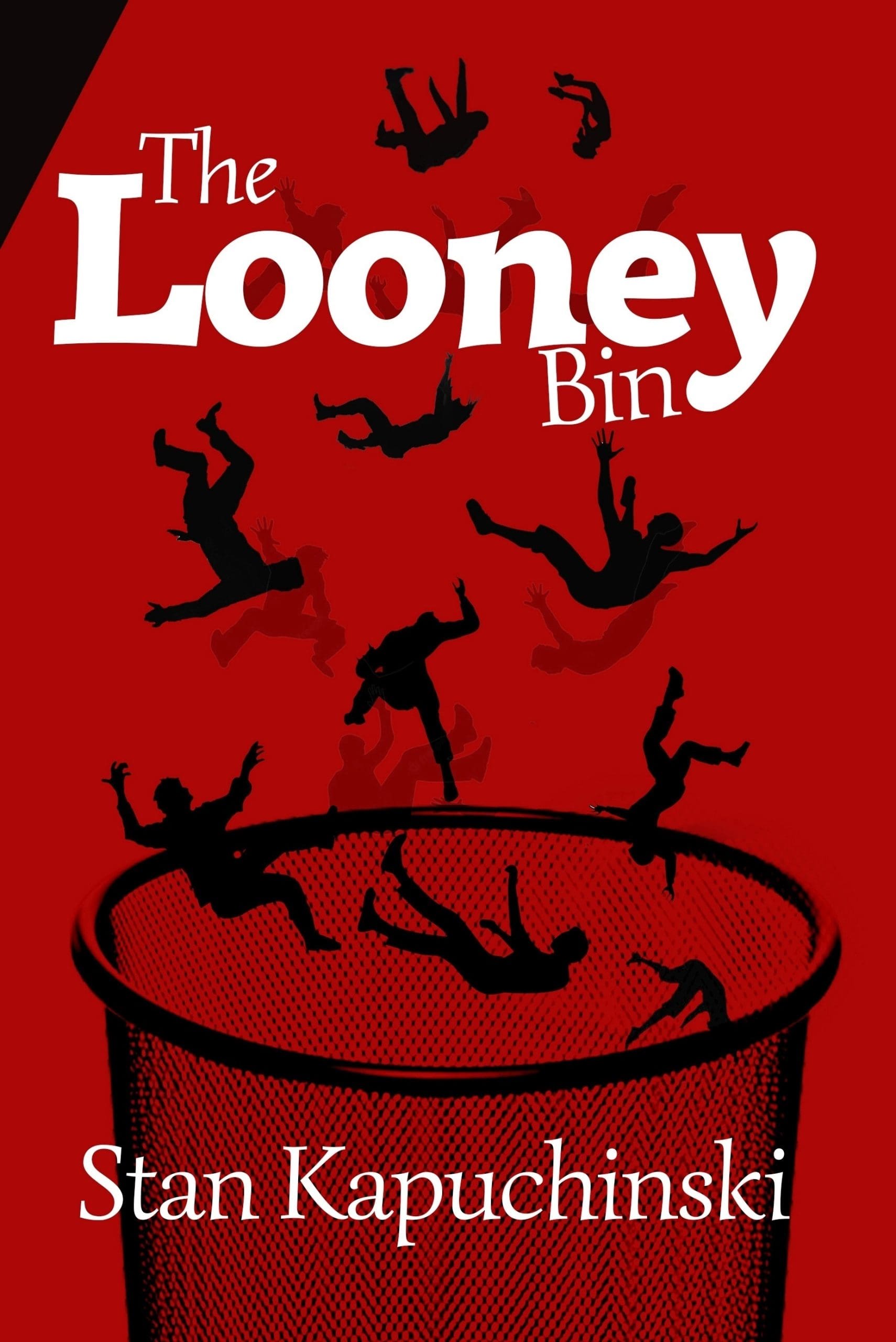 The Looney Bin
